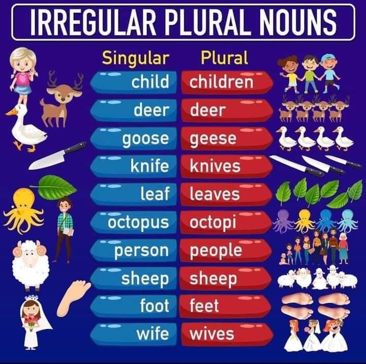 nouns